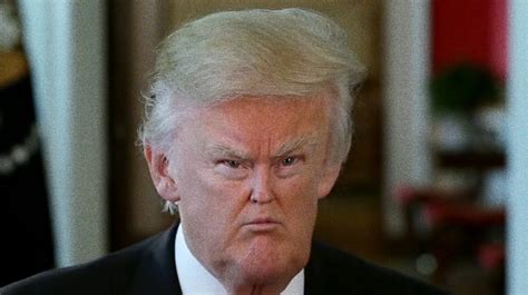 what are some of the fake news stories on trump